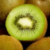 Kiwi Fruit 'Jenny'