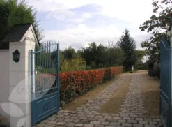 Pyracantha Saphyr Orange ('Cadange') -Cheap Plants Store pl0000001709 card4 lg