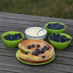 Blueberry 'Bluecrop' -Cheap Plants Store pl0000001890 card8 lg scaled