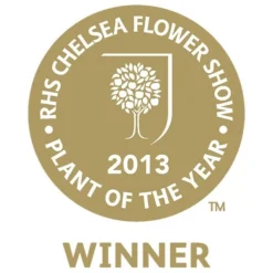 Mahonia Eurybracteata Subsp. Ganpinensis 'Soft Caress' (PBR) 9 Mahonia Eurybracteata Subsp. Ganpinensis 'Soft Caress' (PBR) -Cheap Plants Store pl2000020849 card3 lg