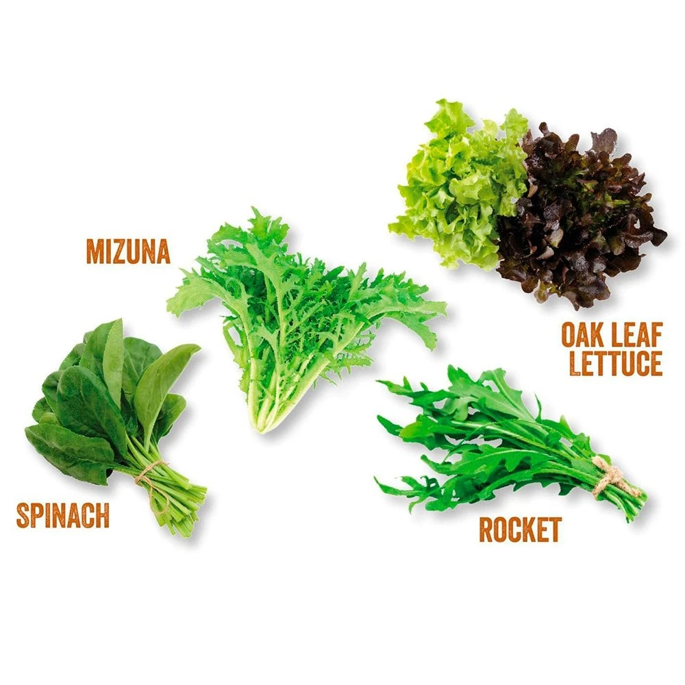 Kitchen Salad Garden Kit 3 Kitchen Salad Garden Kit - Image 3