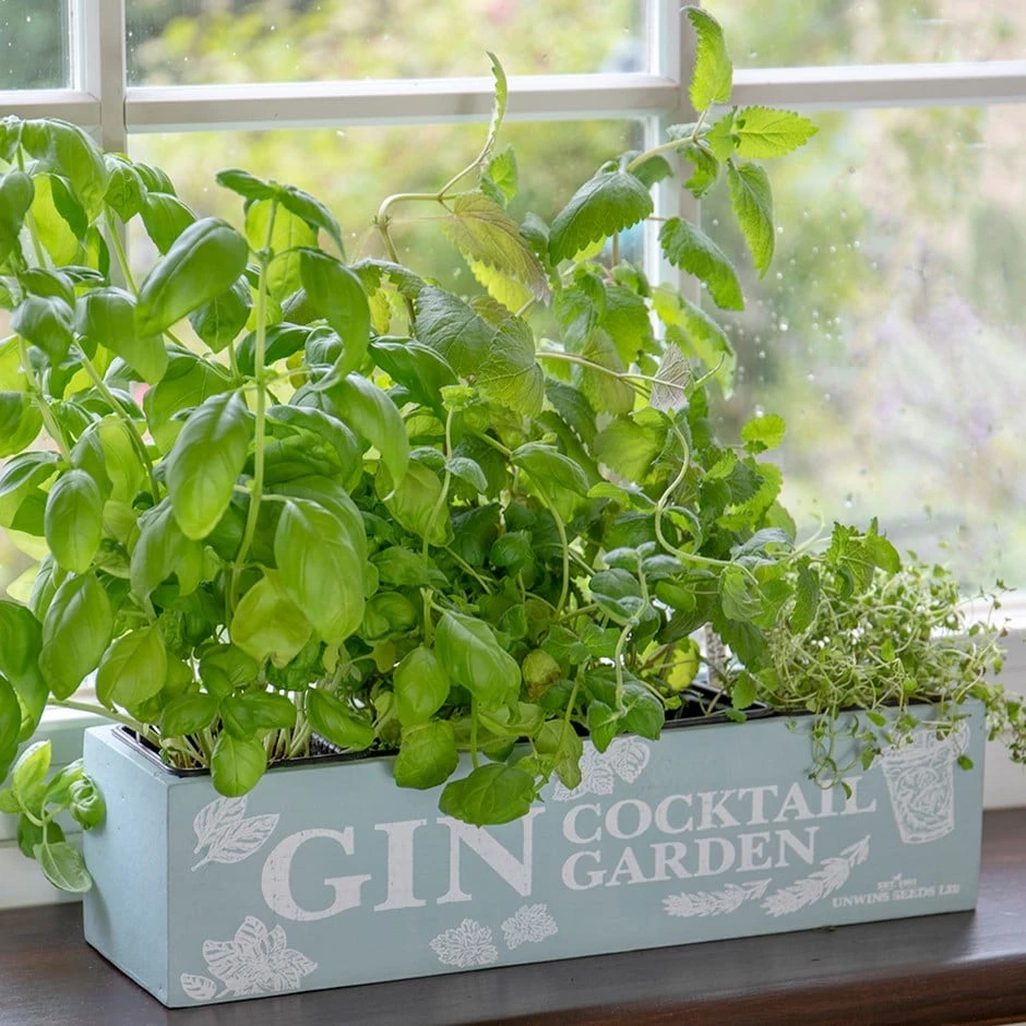 Gin Cocktail Herb Garden Kit 1 Gin Cocktail Herb Garden Kit