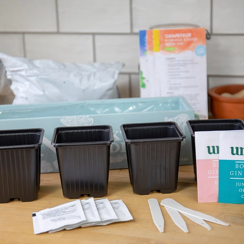 Gin Cocktail Herb Garden Kit 4 Gin Cocktail Herb Garden Kit - Image 4