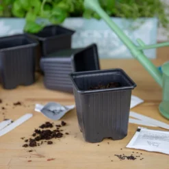 Gin Cocktail Herb Garden Kit 11 Gin Cocktail Herb Garden Kit -Cheap Plants Store pl2000023959 card5 lg