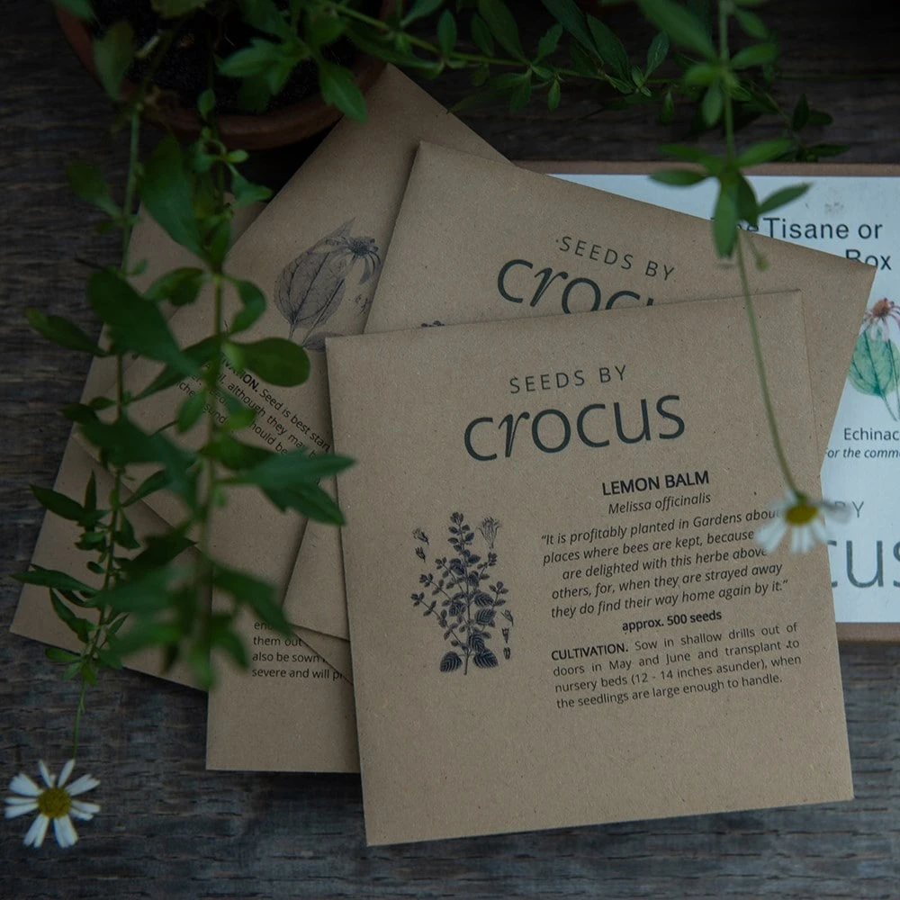 Herbal Teas Seed Gift Box 2 Herbal Teas Seed Gift Box - Image 2