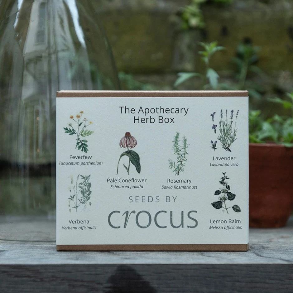 Apothecary Herbs Seed Gift Box 1 Apothecary Herbs Seed Gift Box