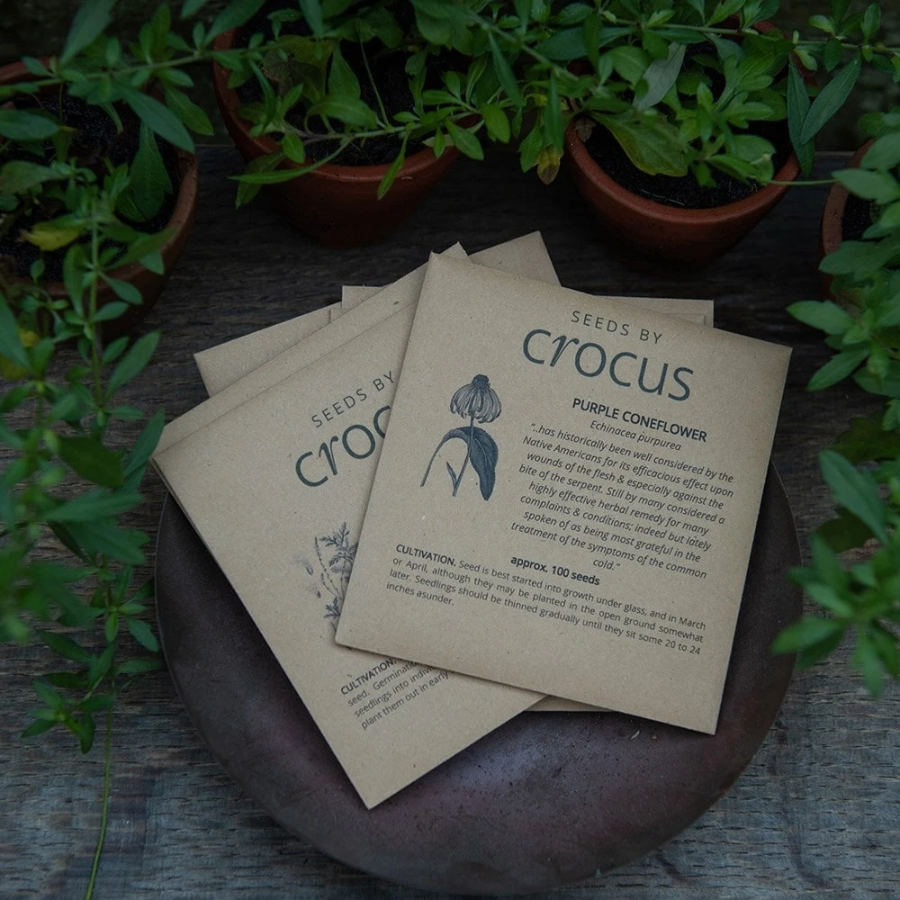 Apothecary Herbs Seed Gift Box 2 Apothecary Herbs Seed Gift Box - Image 2