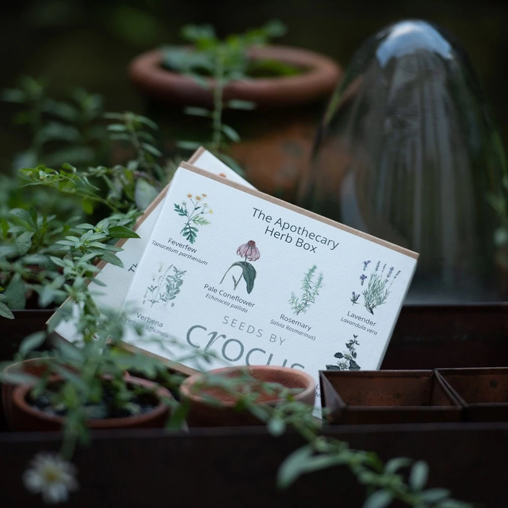 Apothecary Herbs Seed Gift Box 3 Apothecary Herbs Seed Gift Box - Image 3
