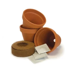 Chilli Starter Kit -Cheap Plants Store pl2000025461 card3 lg