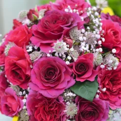 Rosa Timeless Purple ('Noa38121') (PBR) 6 Rosa Timeless Purple ('Noa38121') (PBR) -Cheap Plants Store pl2000036975 card3 lg scaled