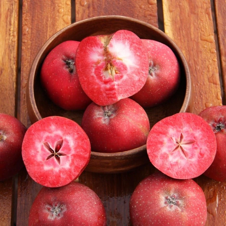 Apple 'Trinity' 1 Apple 'Trinity'