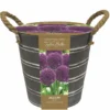 Outdoor Metal Allium Bucket