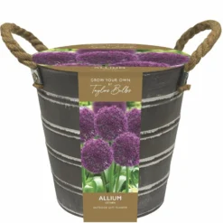 Outdoor Metal Allium Bucket