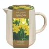 Indoor Ceramic Narcissi Jug