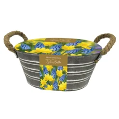 Daffodil And Muscari Outdoor Metal Trough Gift Set