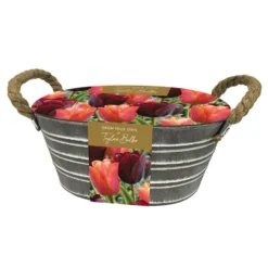 Tulips Outdoor Metal Trough Gift Set