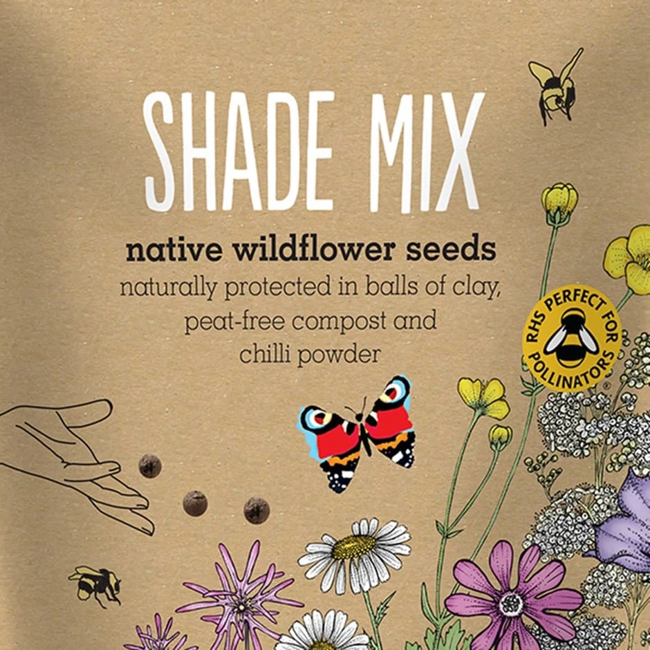 Seedballs Native Wildflowers For Shade 1 Seedballs Native Wildflowers For Shade