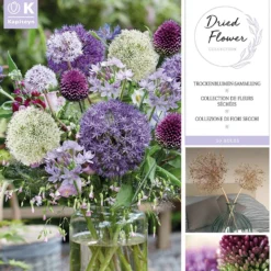 Dried Flowers - Spring 'flowering Bulb Collection'