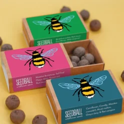 Seedballs Bee Matchboxes -Cheap Plants Store pl2000048431 card5 lg