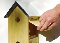 Sparrow Flats -Cheap Plants Store pr2000005252 card5 lg