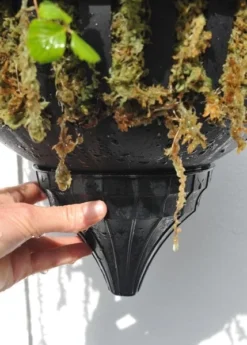 Pair Of Self-watering Hanging Baskets -Cheap Plants Store pr2000006136 card3 lg