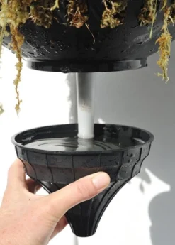 Pair Of Self-watering Hanging Baskets -Cheap Plants Store pr2000006136 card4 lg