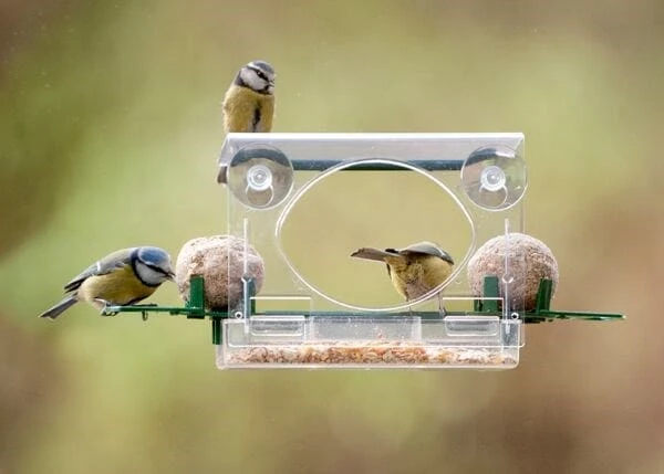 Complete Window Feeder For Birds 2 Complete Window Feeder For Birds - Image 2