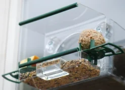 Complete Window Feeder For Birds 7 Complete Window Feeder For Birds -Cheap Plants Store pr2000008345 card4 lg