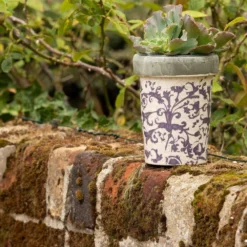 Aged Ceramic Long Tom Pot -Cheap Plants Store pr2000008818 card3 lg