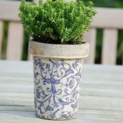 Aged Ceramic Long Tom Pot -Cheap Plants Store pr2000008818 card4 lg