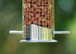 Heavy Duty Nut Feeder -Cheap Plants Store pr2000008829 card3 lg