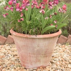 Lucca Terracotta Pot 10 Lucca Terracotta Pot -Cheap Plants Store pr2000012805 card3 lg