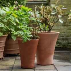 Empoli Terracotta Lily Pot -Cheap Plants Store pr2000012808 card5 lg