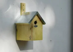 Blue Tit Nesting Box -Cheap Plants Store pr2000013164 card3 lg