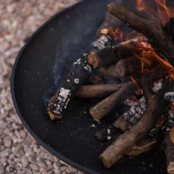 Cast Iron Disc Fire Pit - Large 11 Cast Iron Disc Fire Pit - Large -Cheap Plants Store pr2000014001 card4 lg