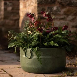 Verdigris Plant Bowl/drink Bucket