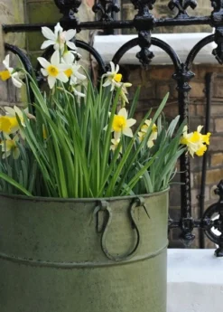 Verdigris Tall Metal Planter 7 Verdigris Tall Metal Planter -Cheap Plants Store pr2000016192 card3 lg