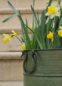 Verdigris Tall Metal Planter 8 Verdigris Tall Metal Planter -Cheap Plants Store pr2000016192 card4 lg