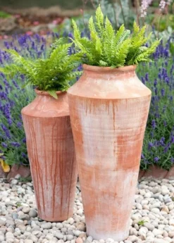 Terracotta Oil Pot -Cheap Plants Store pr2000016940 card5 lg