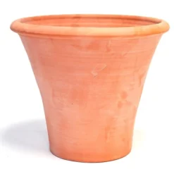 Terracotta Arc Pot -Cheap Plants Store pr2000016942 card9 lg