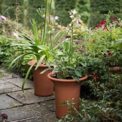 Terracotta Flared Rim Pot -Cheap Plants Store pr2000017350 card5 lg