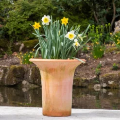 Terracotta Flared Rim Pot -Cheap Plants Store pr2000017350 card9 lg