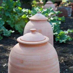 Terracotta Rhubarb Forcer 15 Terracotta Rhubarb Forcer -Cheap Plants Store pr2000017359 card8 lg
