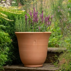Terracotta Perennial Bell Pot