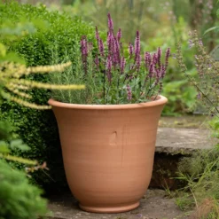 Terracotta Perennial Bell Pot -Cheap Plants Store pr2000017362 card3 lg