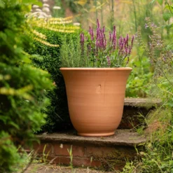 Terracotta Perennial Bell Pot -Cheap Plants Store pr2000017362 card4 lg