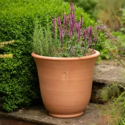 Terracotta Perennial Bell Pot -Cheap Plants Store pr2000017362 card5 lg