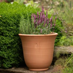 Terracotta Perennial Bell Pot -Cheap Plants Store pr2000017362 card6 lg