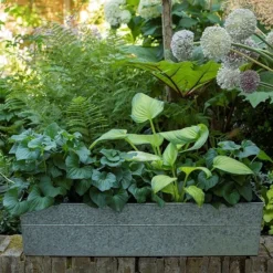 Embossed Galvanised Window Trough 11 Embossed Galvanised Window Trough -Cheap Plants Store pr2000018441 card3 lg