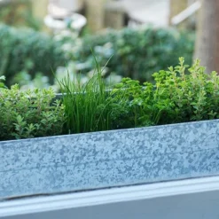 Embossed Galvanised Window Trough 17 Embossed Galvanised Window Trough -Cheap Plants Store pr2000018441 card9 lg